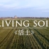 【纪录片】Living Soil（活土）| 自然科学 | 生态农业 | 土壤健康 | 可持续饮食