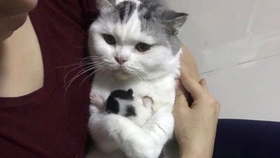 女朋友生气了怎么哄最快 80ac6e42cbfcd19e00a53ad08edbb2dbc7ad0957.jpg@280w_158h_1c_100q.jpg