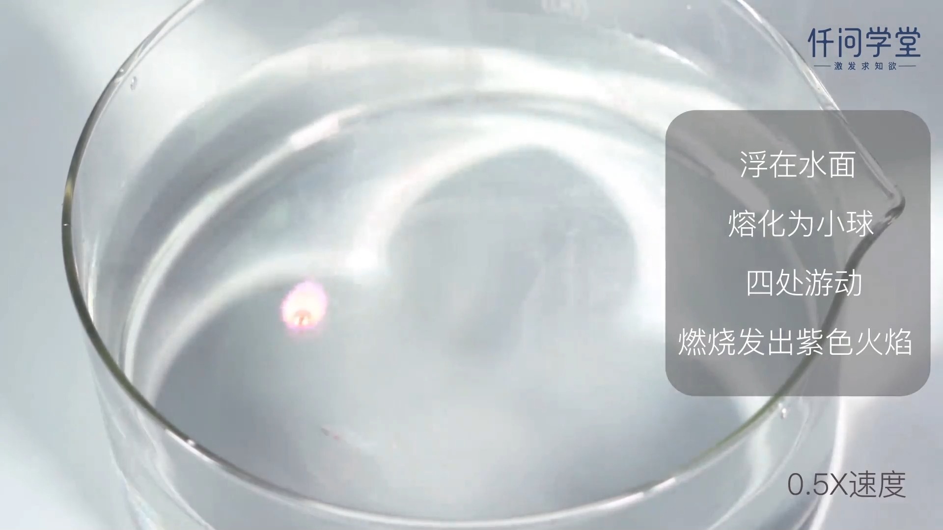 必修1 0802 钾与水反应