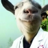 模拟山羊 太空DLC丨羊教授带你治疗丨