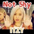 【ITZY•4K超清双字】Not Shy MV 中韩字幕 @神迹出品
