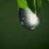 【纪录片】造就人类的水分子 1 水之脉搏【1080p】【双语特效字幕】【纪录片之家科技控】