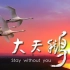 【纪录片】大天鹅 Stay without You【1080p】【国语中字】【2017】