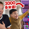 我买了3000多片多米诺, 在家里打破世界纪录