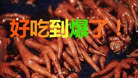 80cf99172fbf000a62c867931fe7a234add6a607.jpg@280w_158h_1c_100q.jpg