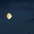 f916 夜晚月亮月黑风高乌云混沌镜头月色小鸟飞过高清实拍月亮视频素材 led背景素材 vj视频素材 动态视频