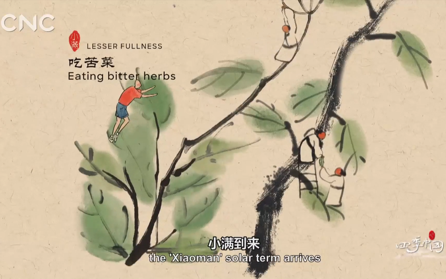 【纪录片】《四季中国》第八集《小满》