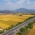 来瞧瞧我家吧，浙江新农村，我家门前的稻子熟了，金黄的麦田中央是通往远方的大道