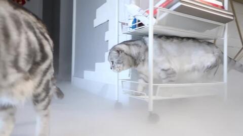 811df22ef944d51a85a2af4808884159ecb68144.jpg@480w_270h_1c