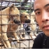 这个男人解救了亚洲被虐待和屠杀的狗狗 @柚子木字幕组