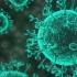 3月23日环球网消息——英国媒体报道：美国制造新冠病毒