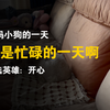 来姨妈的小狗一天有多忙