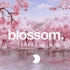Blossom. 【蒸汽波/Lo-Fi】