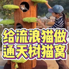 给流浪猫做通天树猫窝，既实用又好看