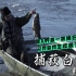 零度以下的生活：猎人齐普夫妻捕获白鲑生吃鱼子酱