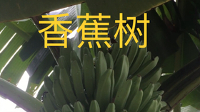 8194de18f27342d0bc735eb54789b1c78bcce95c.jpg@280w_158h_1c_100q.jpg