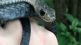 81b26c166f2242bd28802ea8b40367335e2a127e.jpg@280w_158h_1c_100q.jpg
