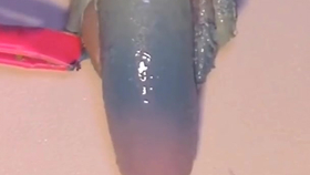 81bf3b5a6c2b72e4f4428384478f9ed2caef7ee3.png@280w_158h_1c_100q.jpg