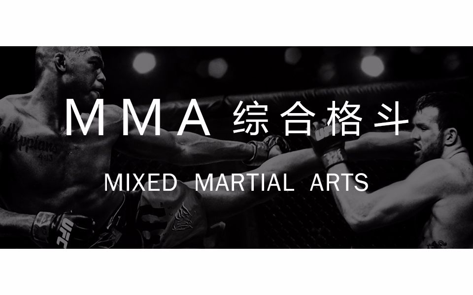 综合格斗【电影混剪】 来一针鸡血吧_哔哩哔哩