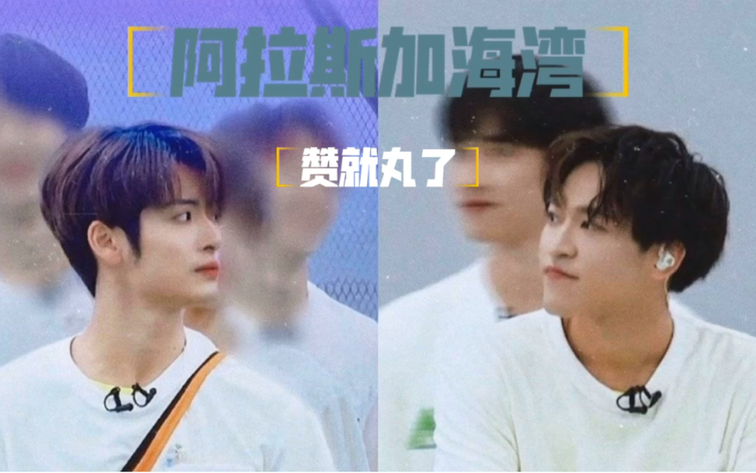 赞就丸了赞多力丸双向奔赴结尾有小惊喜阿拉斯加海湾