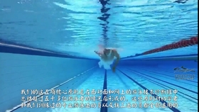 81da95975d93f5c7fbbe3d9646d8c24c3e457c84.jpg@280w_158h_1c_100q.jpg