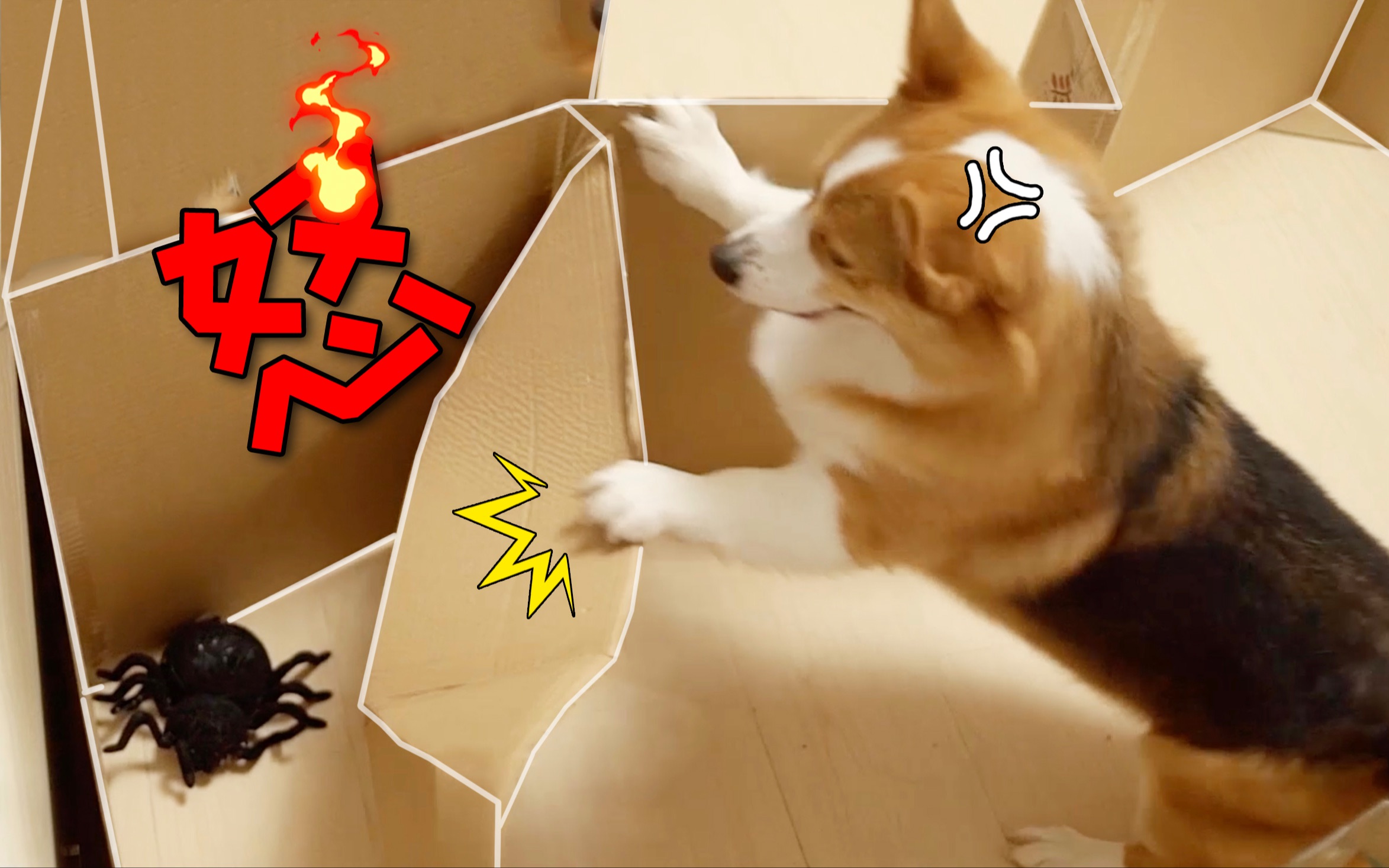 Terror Dog (Ghostbusters)-恐怖狗（捉鬼敢死队）_DAZ模型网