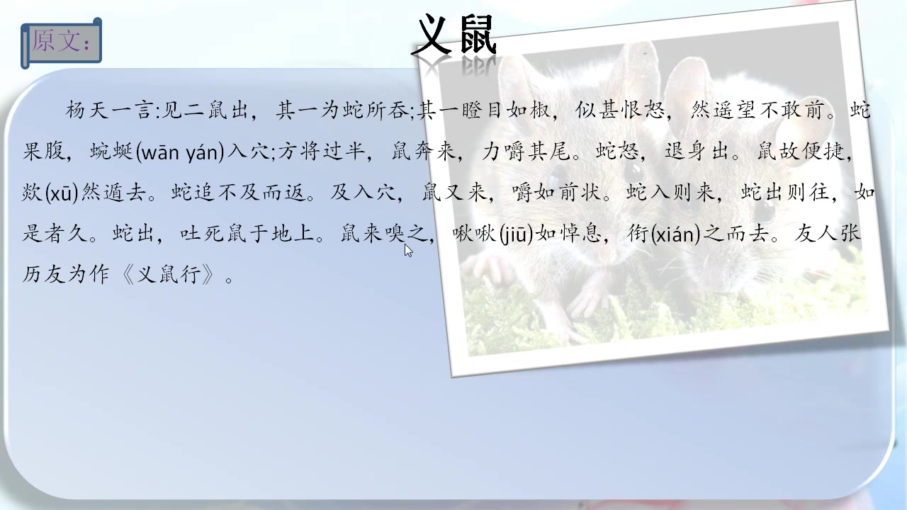 聊斋志异卷一义鼠