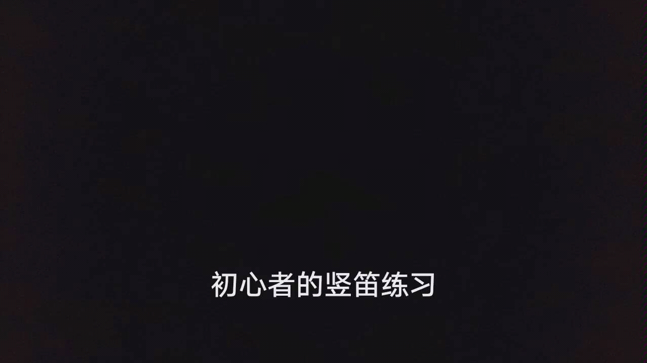 竖笛练习 满满的傻气 哔哩哔哩 つロ干杯 Bilibili