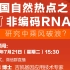 如何在国自然热点之“非编码RNA”研究中乘风破浪？