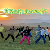 你知道恒大歌舞团解散之后都去哪了吗？   草原上跳舞简直太好看了