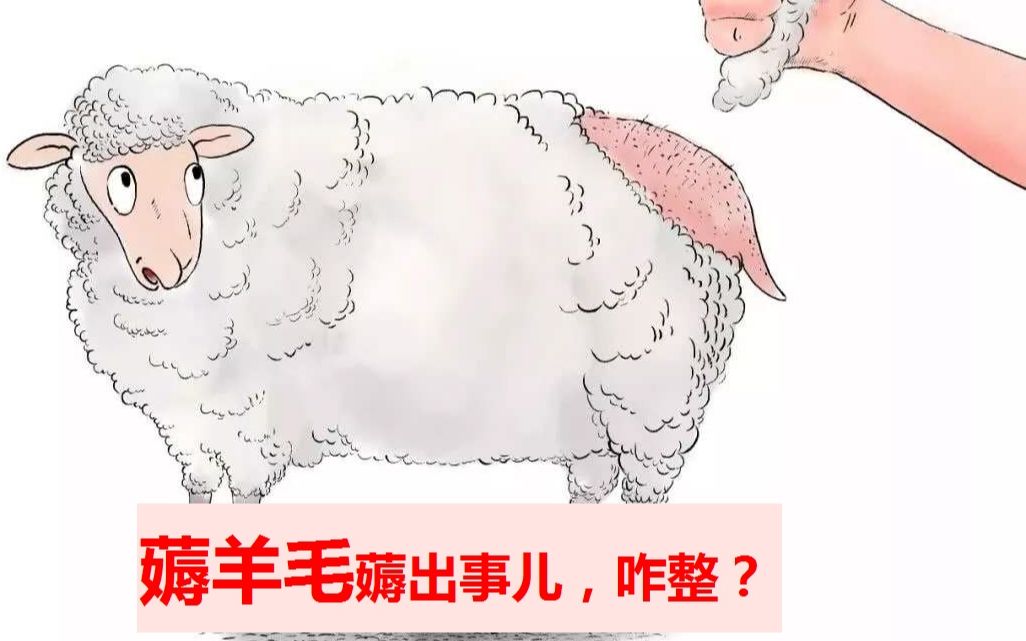 薅羊毛薅出事儿,羊毛,您还敢薅吗?_哔哩哔哩_bilibili