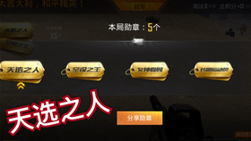 怎么获得天选之人功勋 8257dff5e690ed12682802d361f6cc512099c937.jpg@280w_158h_1c_100q.jpg