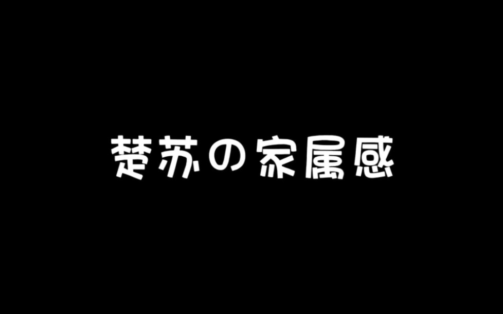 【楚苏】陈楚生你这样特别像给lp介绍兄弟…