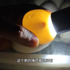 狮头鹅种蛋用水床孵化用不用人工助产