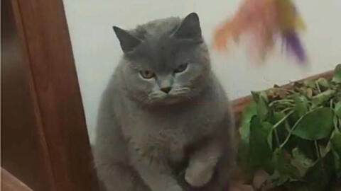 829d8a453ffefe754e796fa8cb68cdebbef39a71.jpg@480w_270h_1c