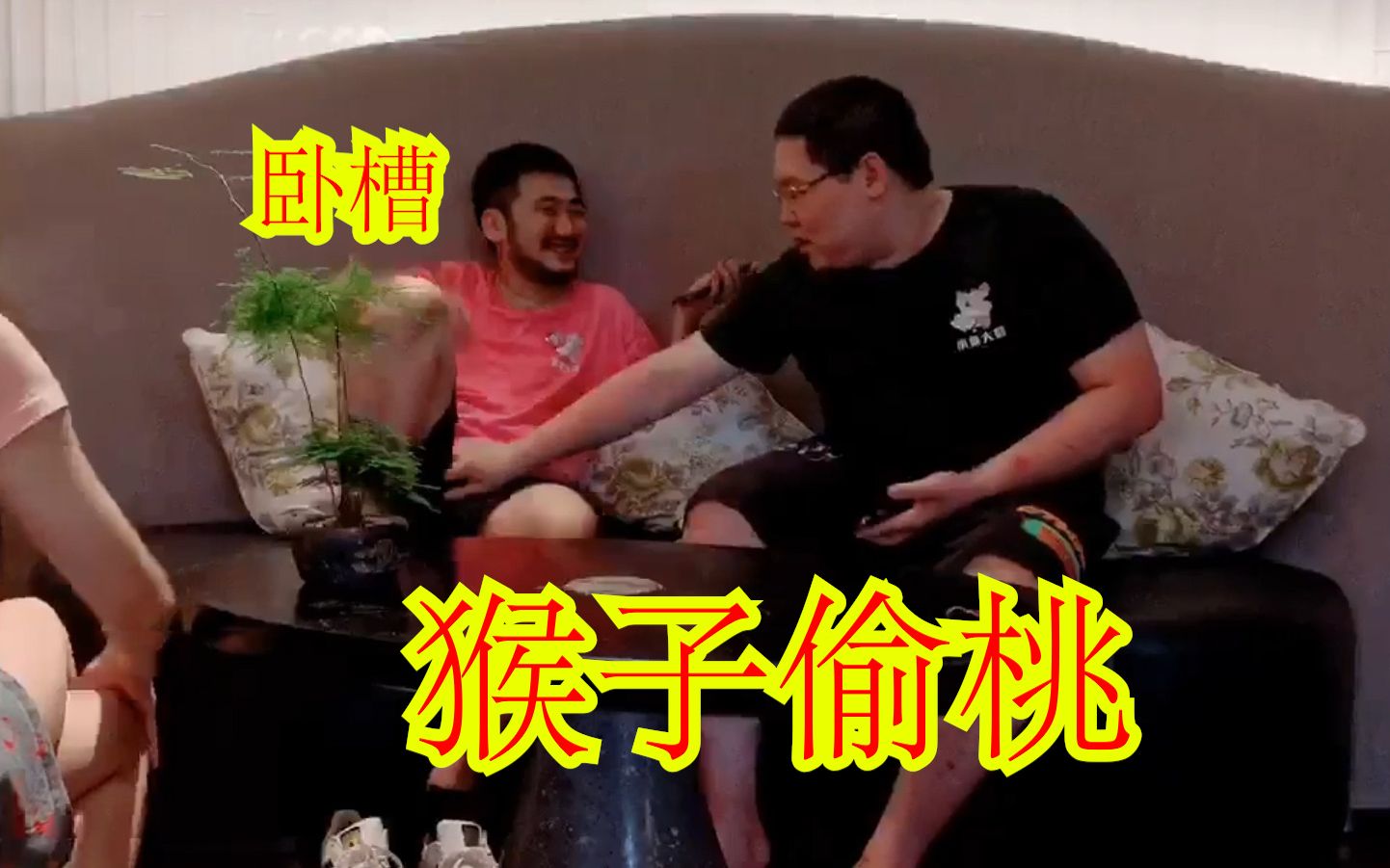 【户外特辑12】骚猪PDD对茄子突然袭击！一招猴子偷桃茄子当场呆住！