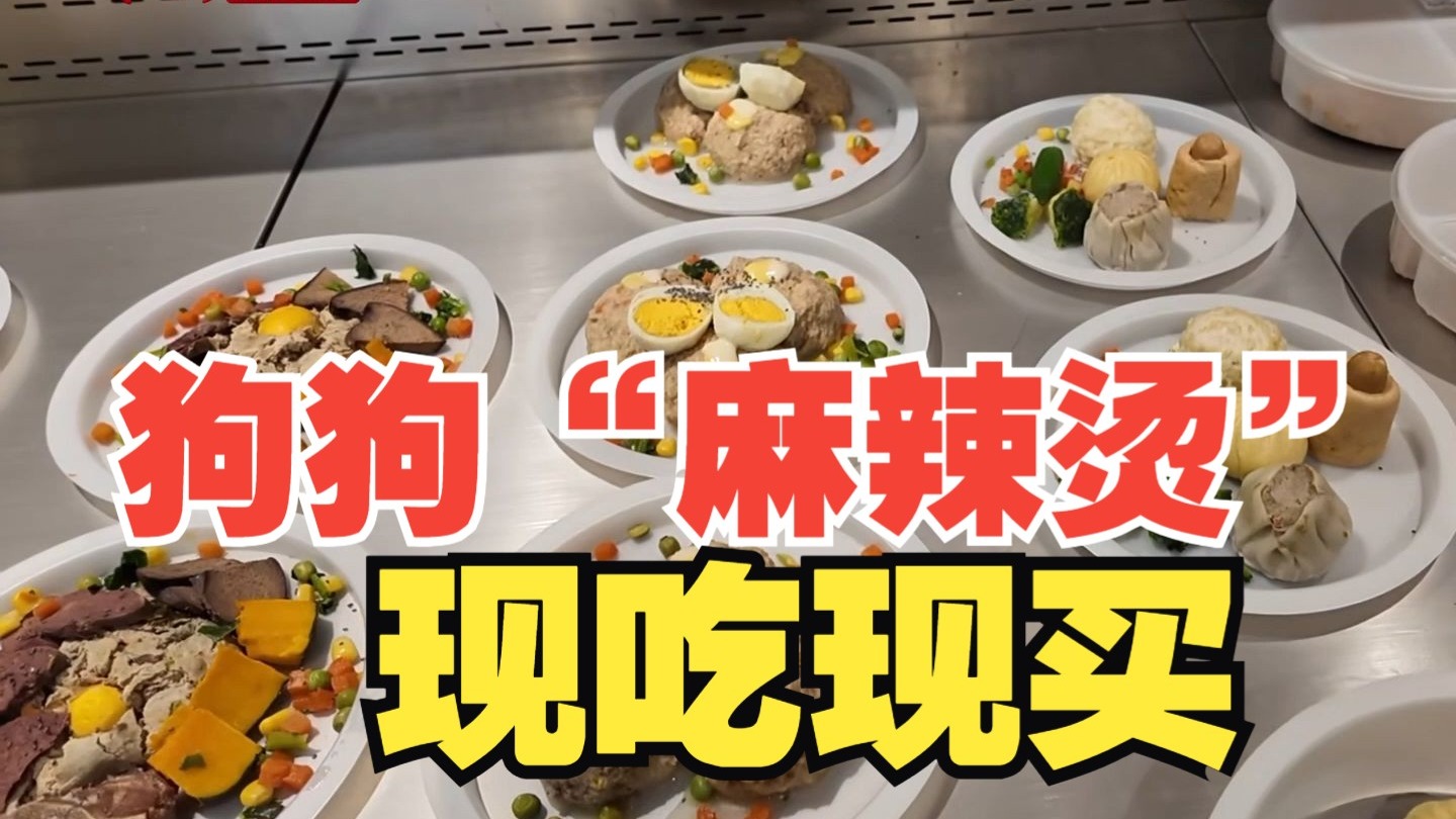 上海宠物经济新突破：狗狗“麻辣烫”现吃现买