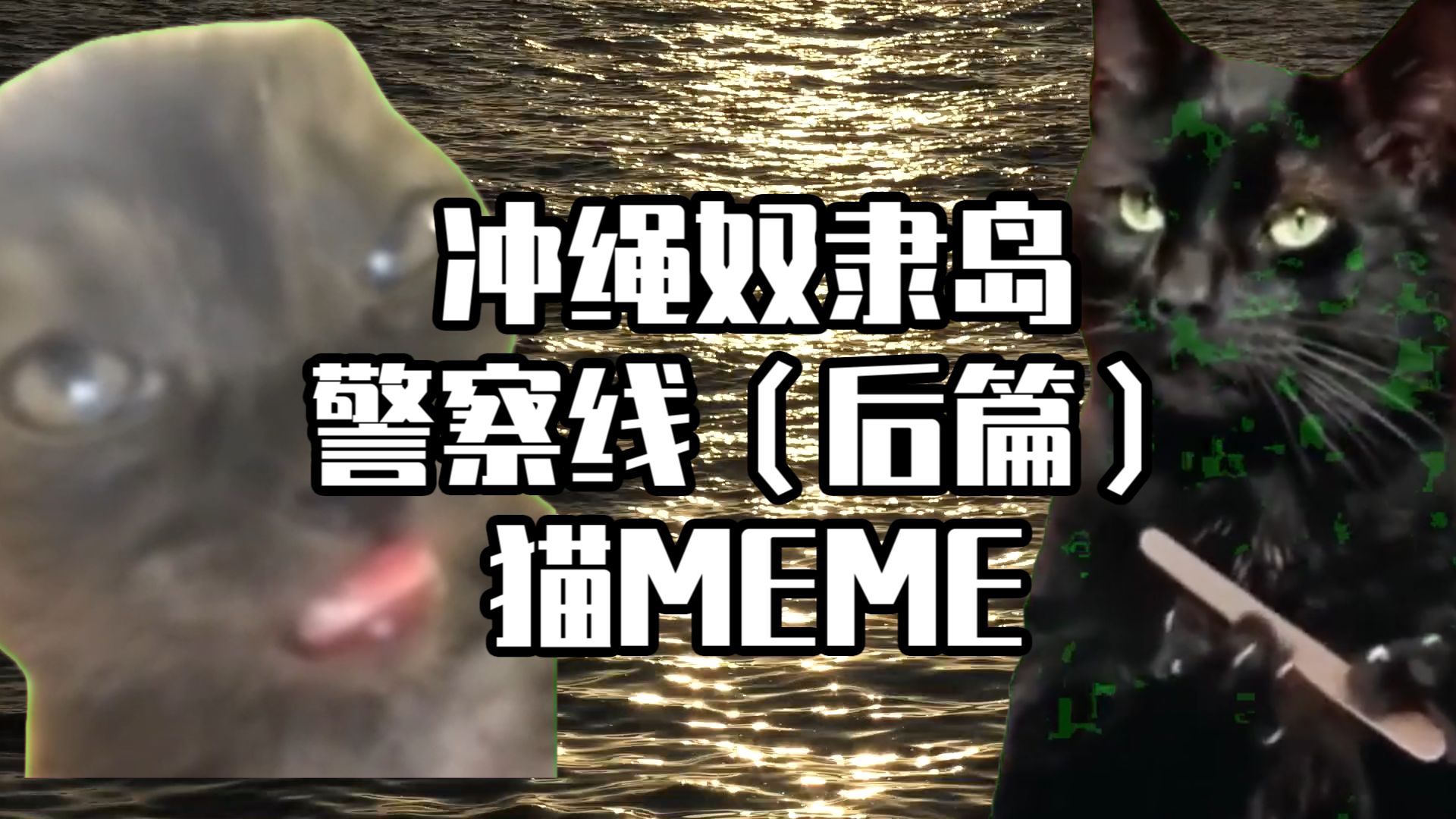 【猫meme】四分钟看完冲绳奴隶岛警察线（后篇）