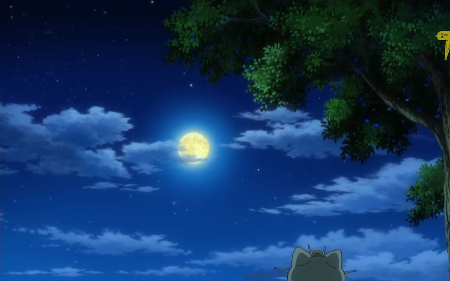 宠物小精灵xy&z ed【喵喵的叙事诗】