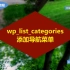 WP开发05：网站如何添加导航菜单？只需wp_list_categories就可搞定