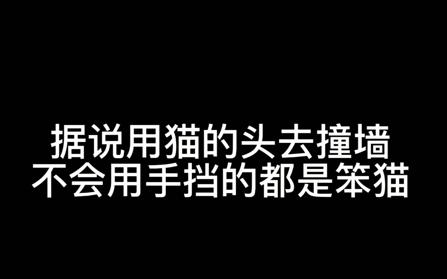 火遍全网的猫猫智商测试来了（猜猜三小只那只是小笨猫）PS：有惊喜