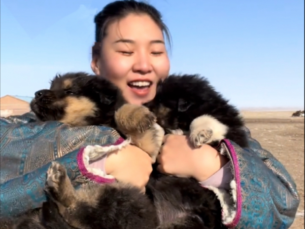 人，你好，我叫笨笨狼。