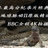 【地球脉动II】 BBC原版--向你展示从未见过的世界“小海鬣蜥 Vs 游蛇“ 生存法则--唯快不破