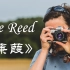 The Reed 《蒹葭》英文版——《诗经·国风·秦风》