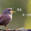 【前方高能】让你们见识一下什么叫：小身材 大本事