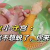 温泉洗浴去死皮，守宫翻新没问题