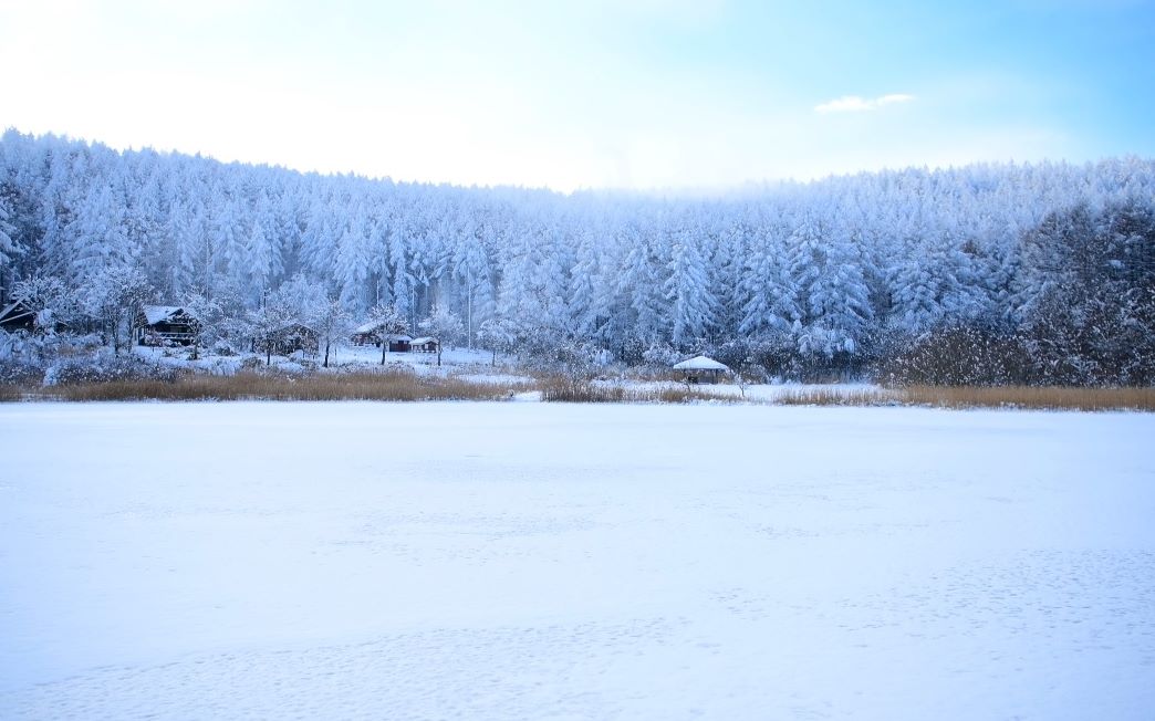 【超清日本】第一视角 美丽的信州冬景 (2021.12拍摄,4K超清版) 2022.1