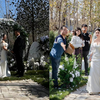 儿媳想办农村草坪婚礼，公婆提前5个月开垦荒地，沿路铺花还种树