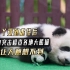 丫丫受到虐待后，网友好奇突击检查各地大熊猫，结果让人意想不到