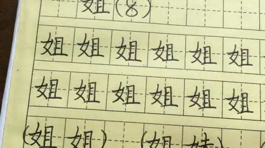 偏旁部首:女字旁。 生字:姐.妹。
